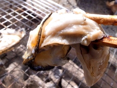 岡山の牡蠣 (2).jpg