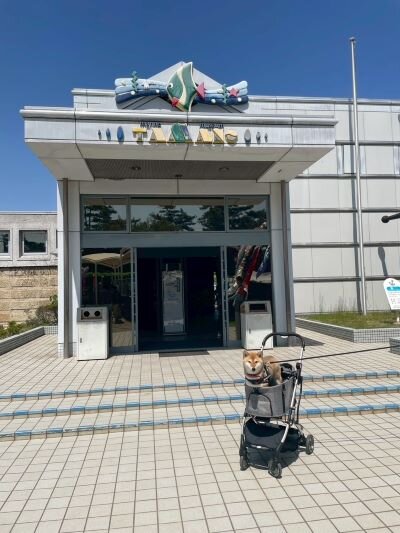 shibukawairiguchi.JPG